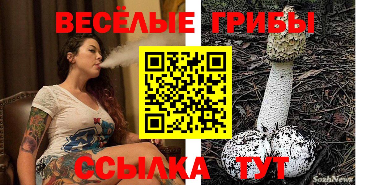 Псилоцибиновые грибы мицелий Сертолово