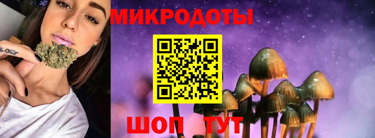 Псилоцибиновые грибы Psilocybe  Галлюциногенные грибы ЛСД  Вход с VPN  закладка  Сертолово 